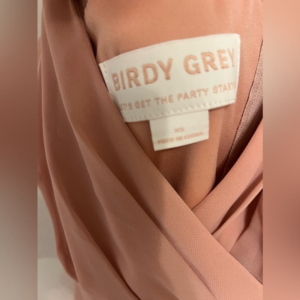 Birdy Grey Kaia Chiffon Dusty Rose Dress - Picture 10 of 11